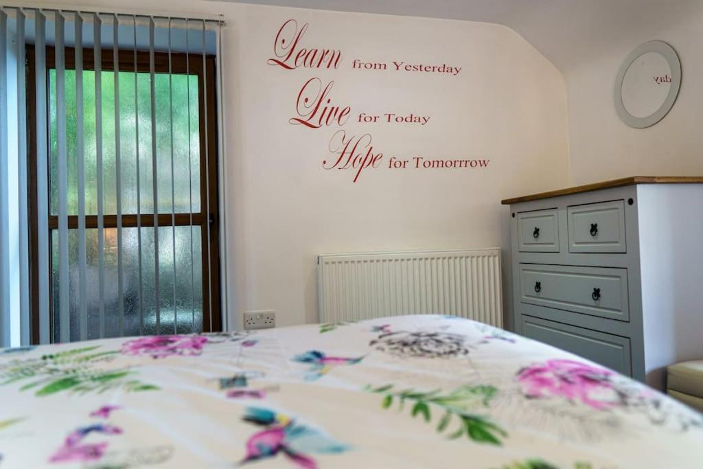 Llandysul Millers Cottage מראה חיצוני תמונה